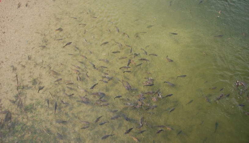 Penzion Pivovar Volt Jablonec nad Nisou